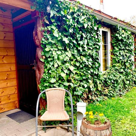 Apartamento Dovolenkovy Dom Ela Pets Friendly Poprad Exterior foto